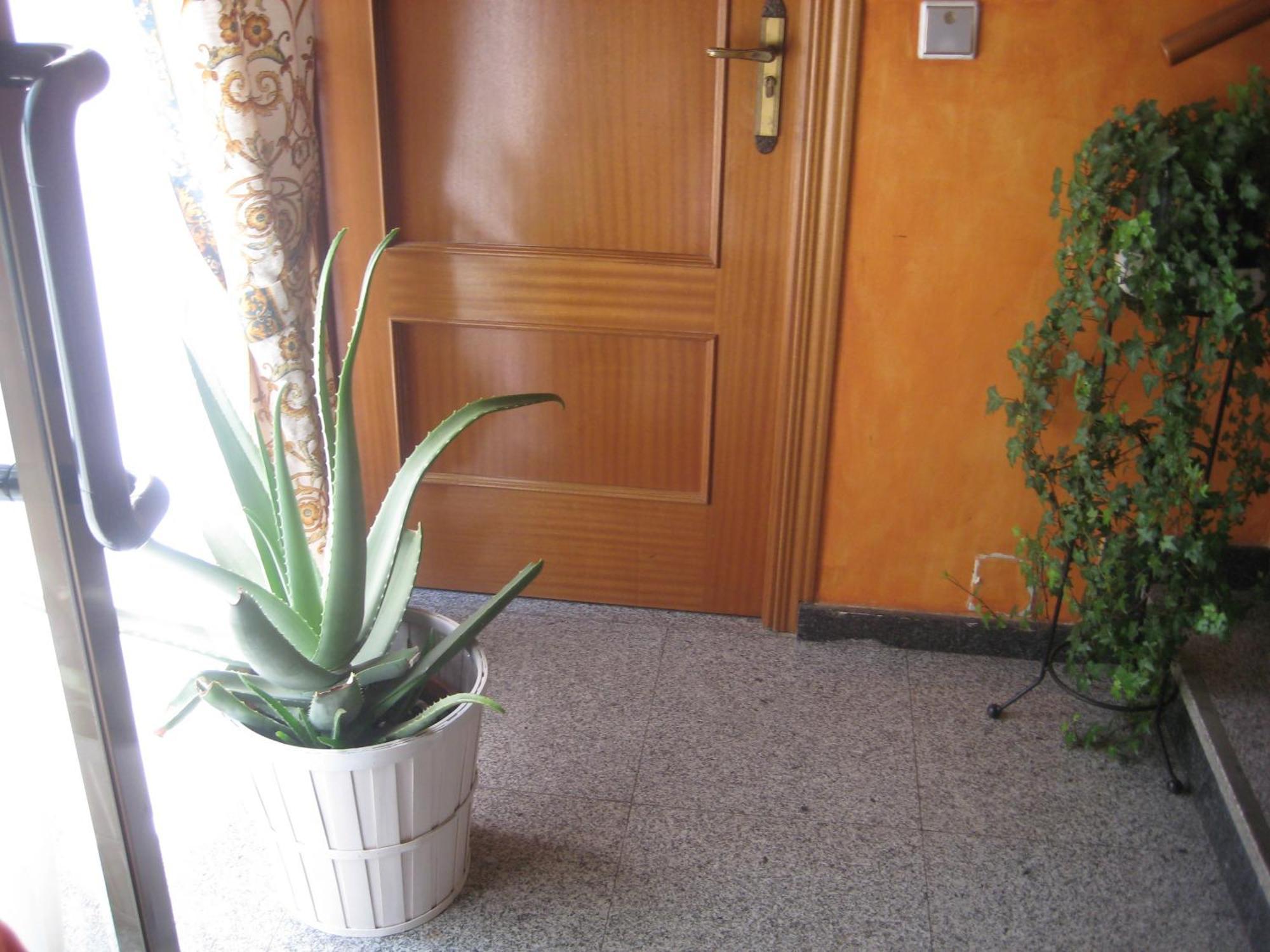 Hostal El Pinar Ávila Kültér fotó